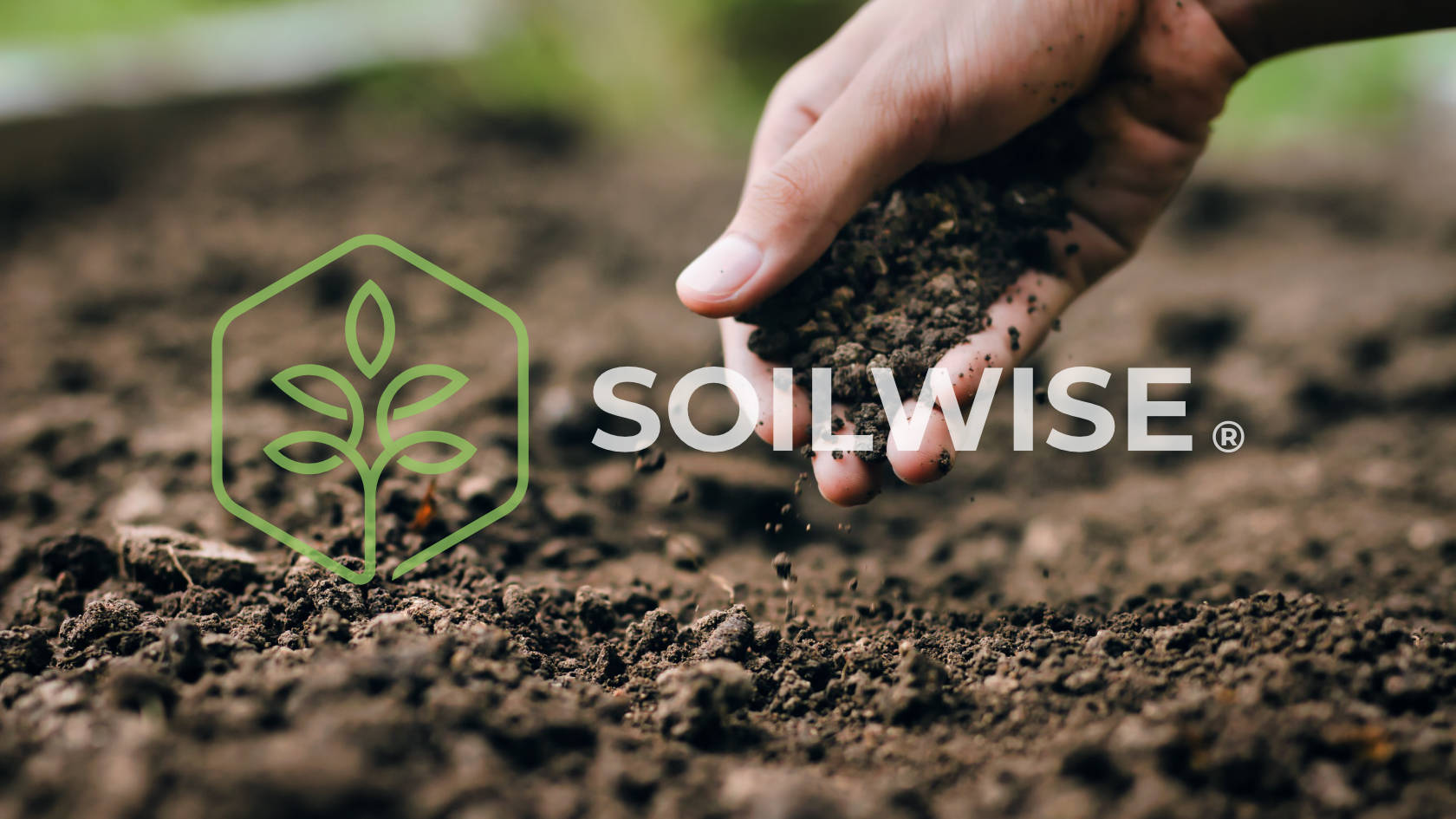 Soilwise - our new brand name and identity